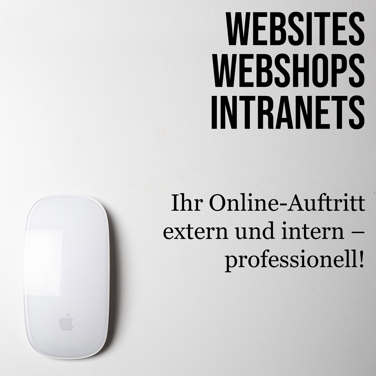 Websites, Webshops, Intranets